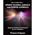 How To Meet Your SPIRIT GUIDES, ANGELS and POWER ANIMALS: Spiritual Guidance On Demand in 5 to 10 Minutes, a Practical Guide - Paperback | Books | Wiccan Center