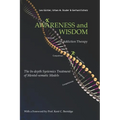 Awareness and Wisdom in Addiction Therapy: The In-Depth Systemics Treatment of Mental-somatic Models - Paperback | Books | Wiccan Center