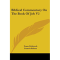 Biblical Commentary On The Book Of Job V2 - Paperback