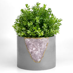 6 inch ROSE QUARTZ PLANTER | Small Geode Planter | Wiccan Center