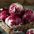 Palla Rossa Radicchio – 100 Seeds | | Wiccan Center