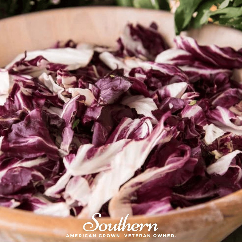 Palla Rossa Radicchio – 100 Seeds | | Wiccan Center