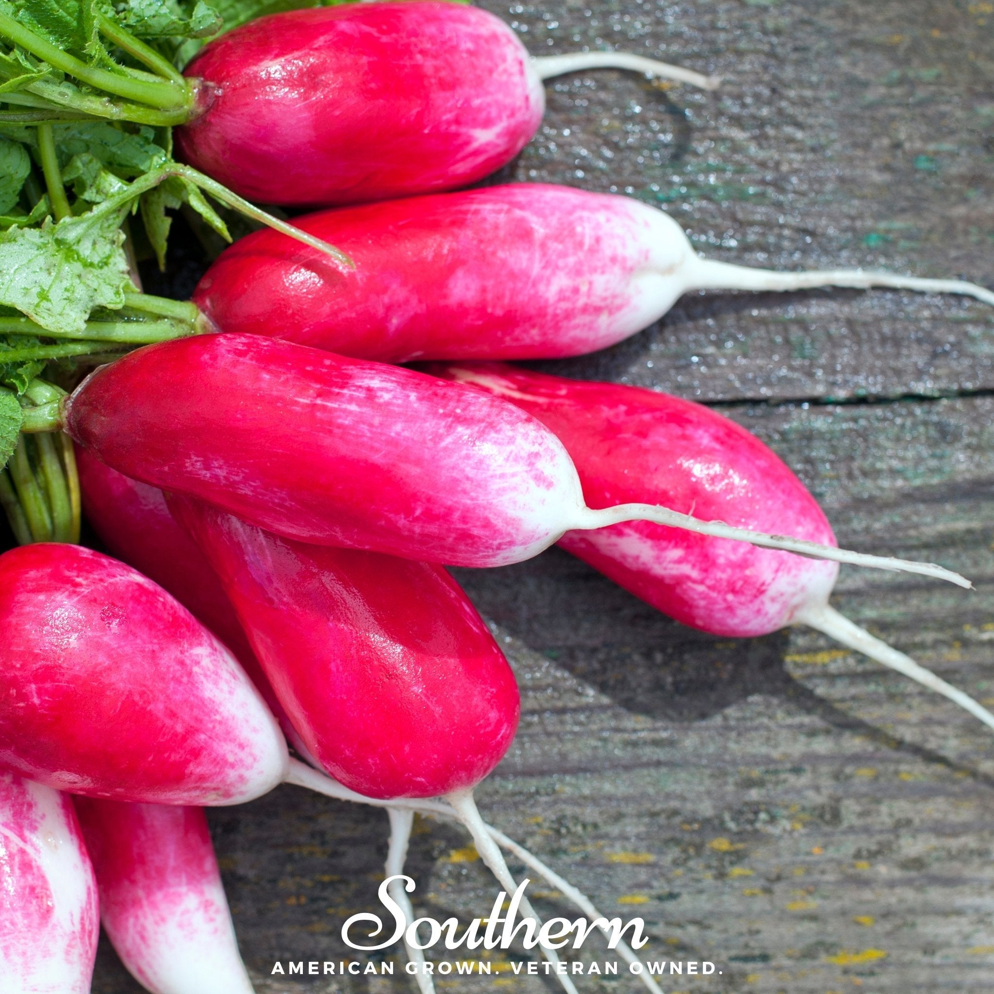 French Breakfast Radish – 250 Seeds | | Wiccan Center