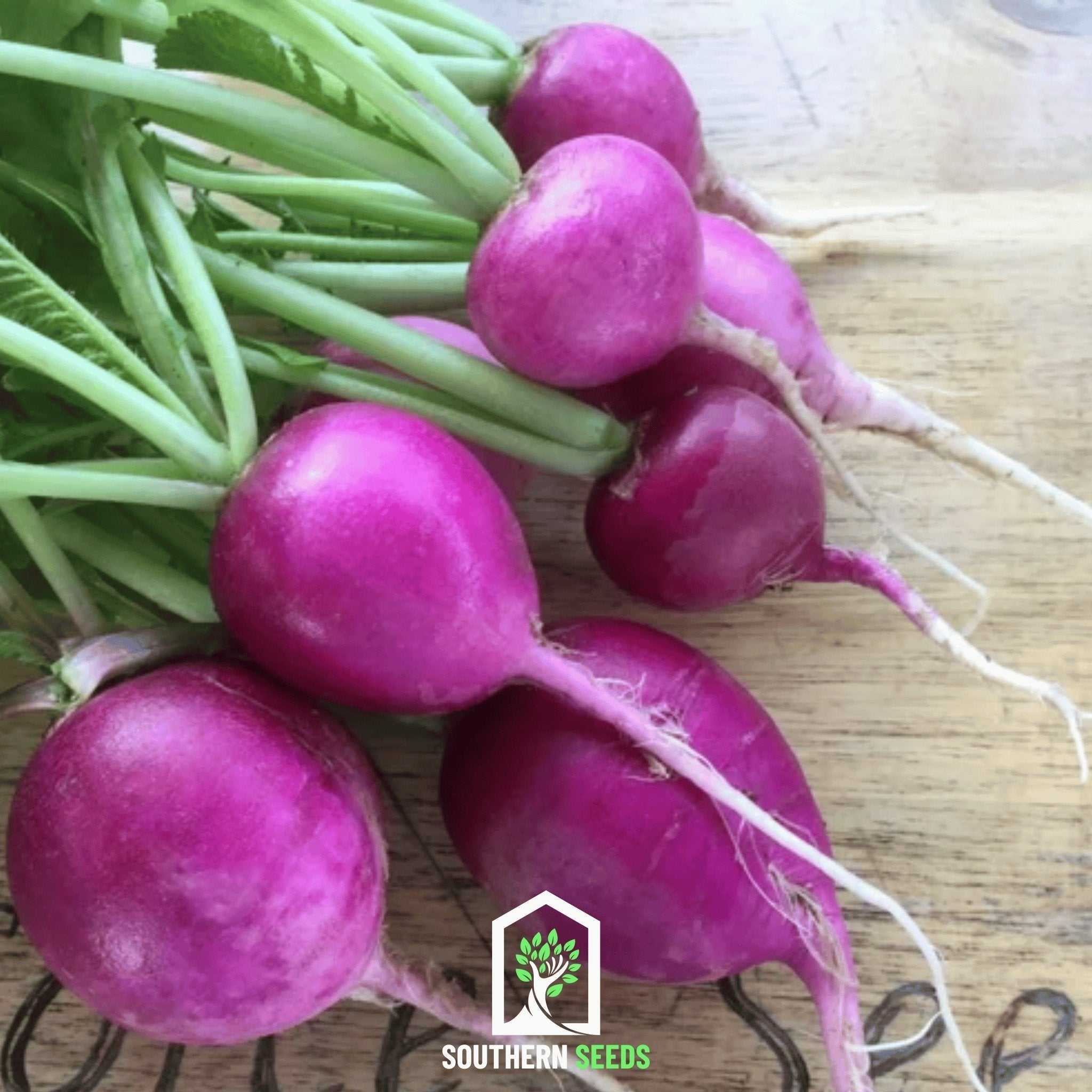Purple Plum Radish – 250 Seeds | Seeds | Wiccan Center