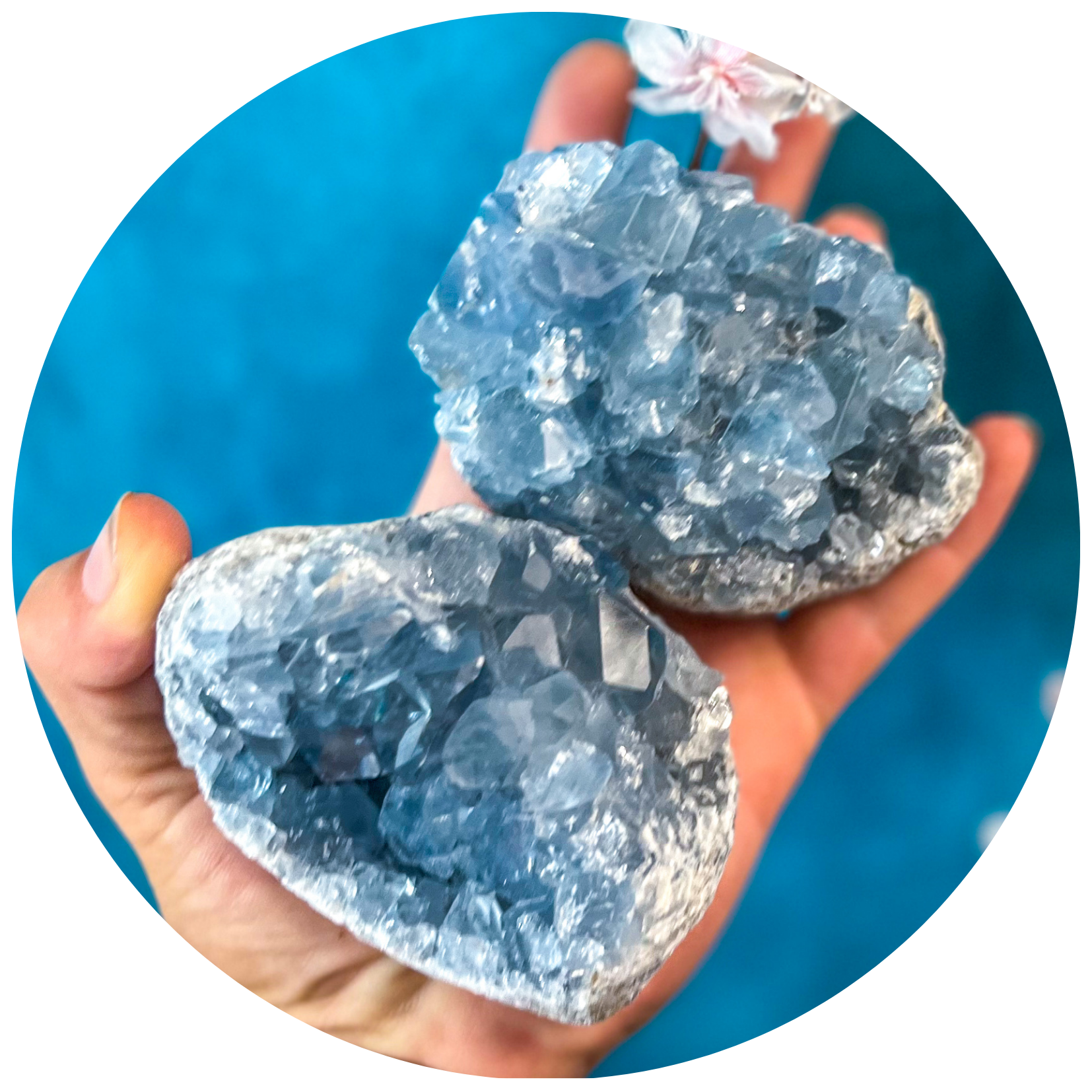 Large Ethically Sourced CELESTITE Clusters