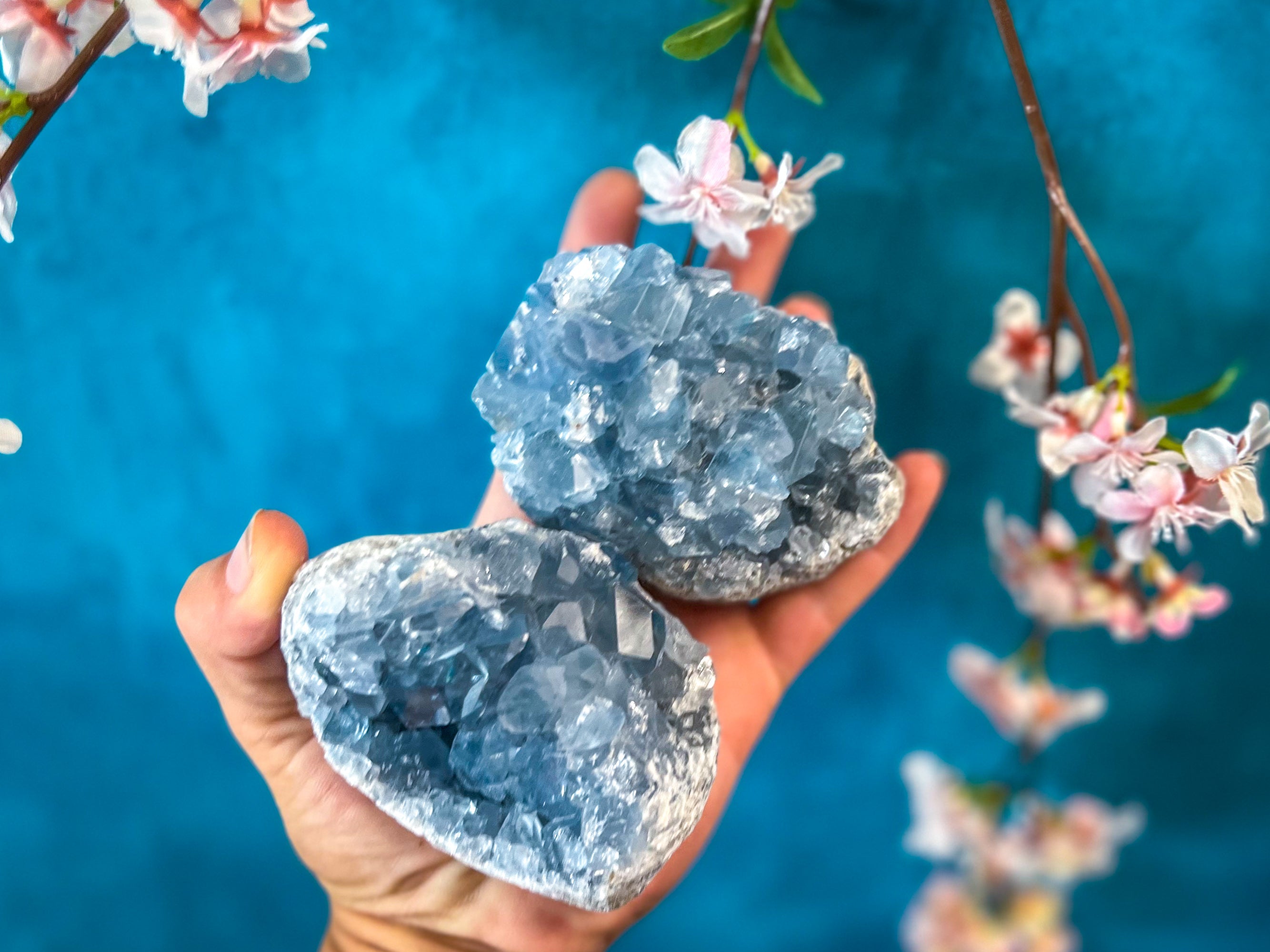 Large Ethically Sourced CELESTITE Clusters | | Wiccan Center
