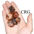 Rough Red Carnelian / 20-40mm AVG - 10 KILO LOT