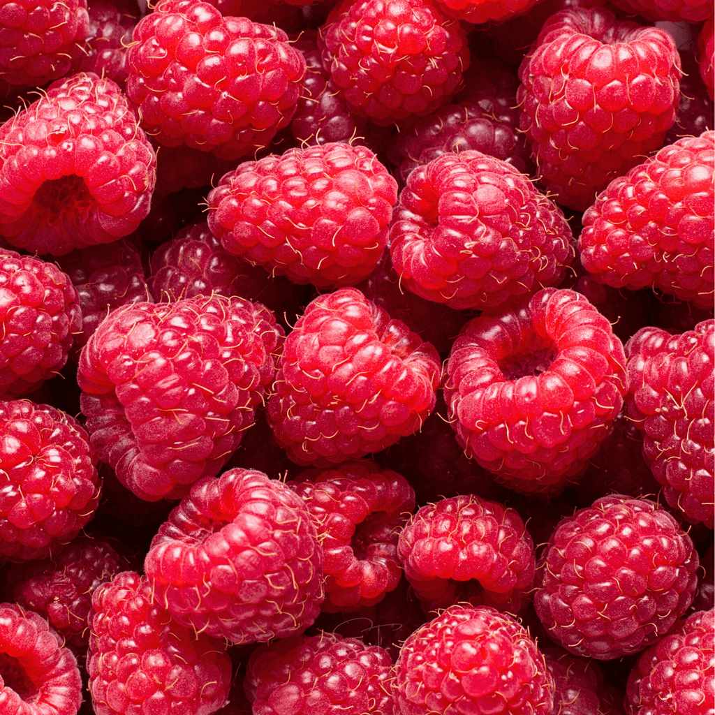Red European Raspberry – 30 Seeds | Seeds | Wiccan Center