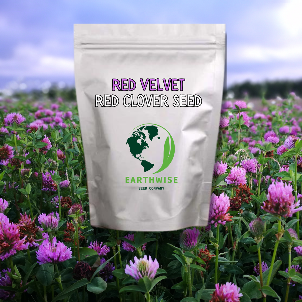 Red Velvet™ Alternative Lawn Seed (Red Carpet Clover) | | Wiccan Center