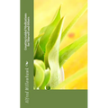 Creating Guided Meditations for Yourself and Others - Paperback | Books | Wiccan Center
