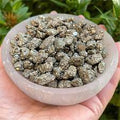 Pyrite Rough - Chips (4oz) | Chips | Wiccan Center