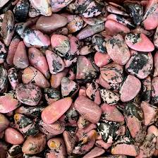 Rhodonite B Tumbled | Tumbled Gemstone | Wiccan Center