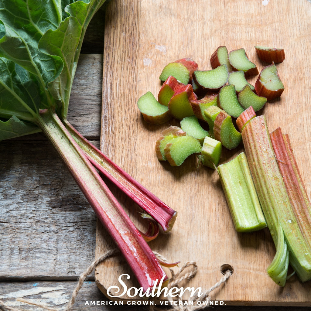 Glaskins Perpetual Rhubarb – 30 Seeds | | Wiccan Center