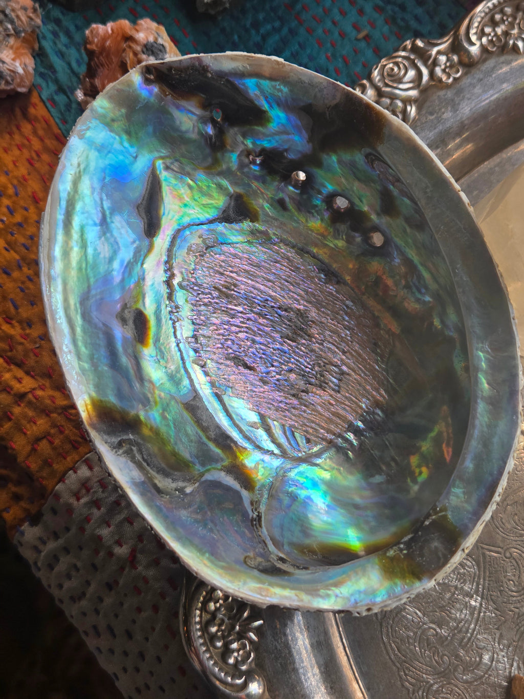 Abalone Shell Smudge Bowl (5–5.5”) | | Wiccan Center