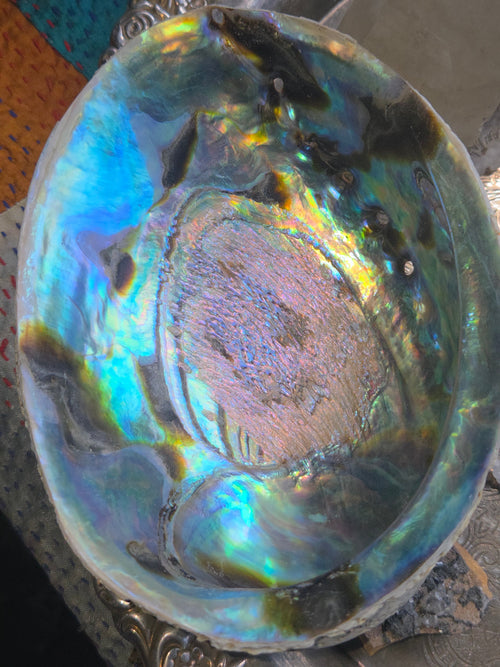 Abalone Shell Smudge Bowl (5–5.5”) | | Wiccan Center