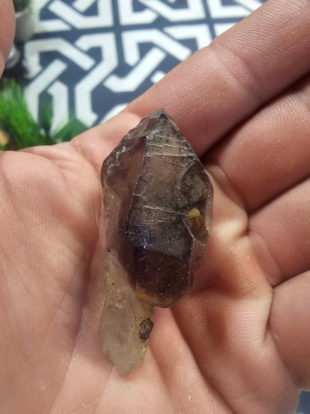 Smoky amethyst scepter