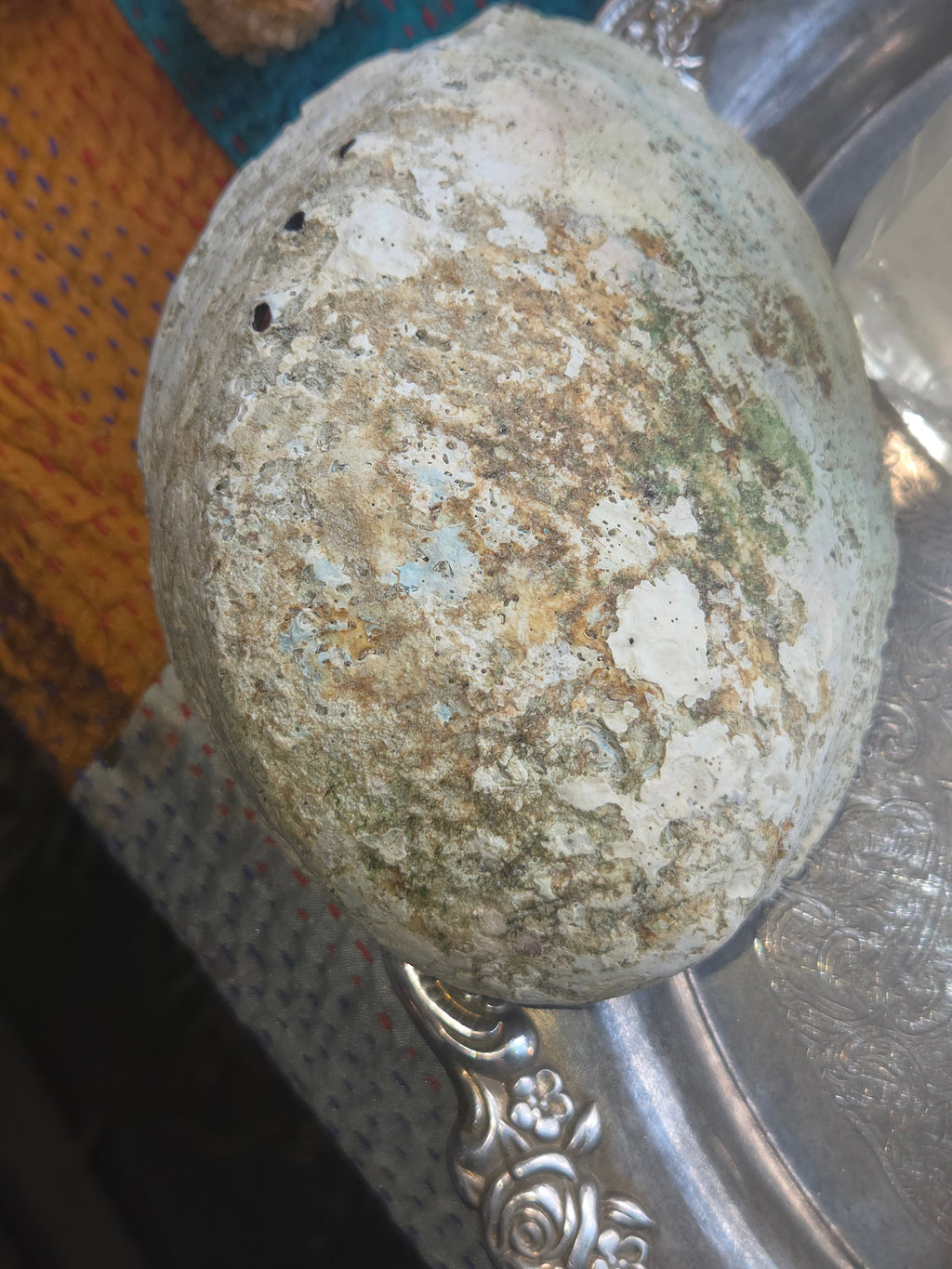 Abalone Shell Smudge Bowl (5–5.5”) | | Wiccan Center