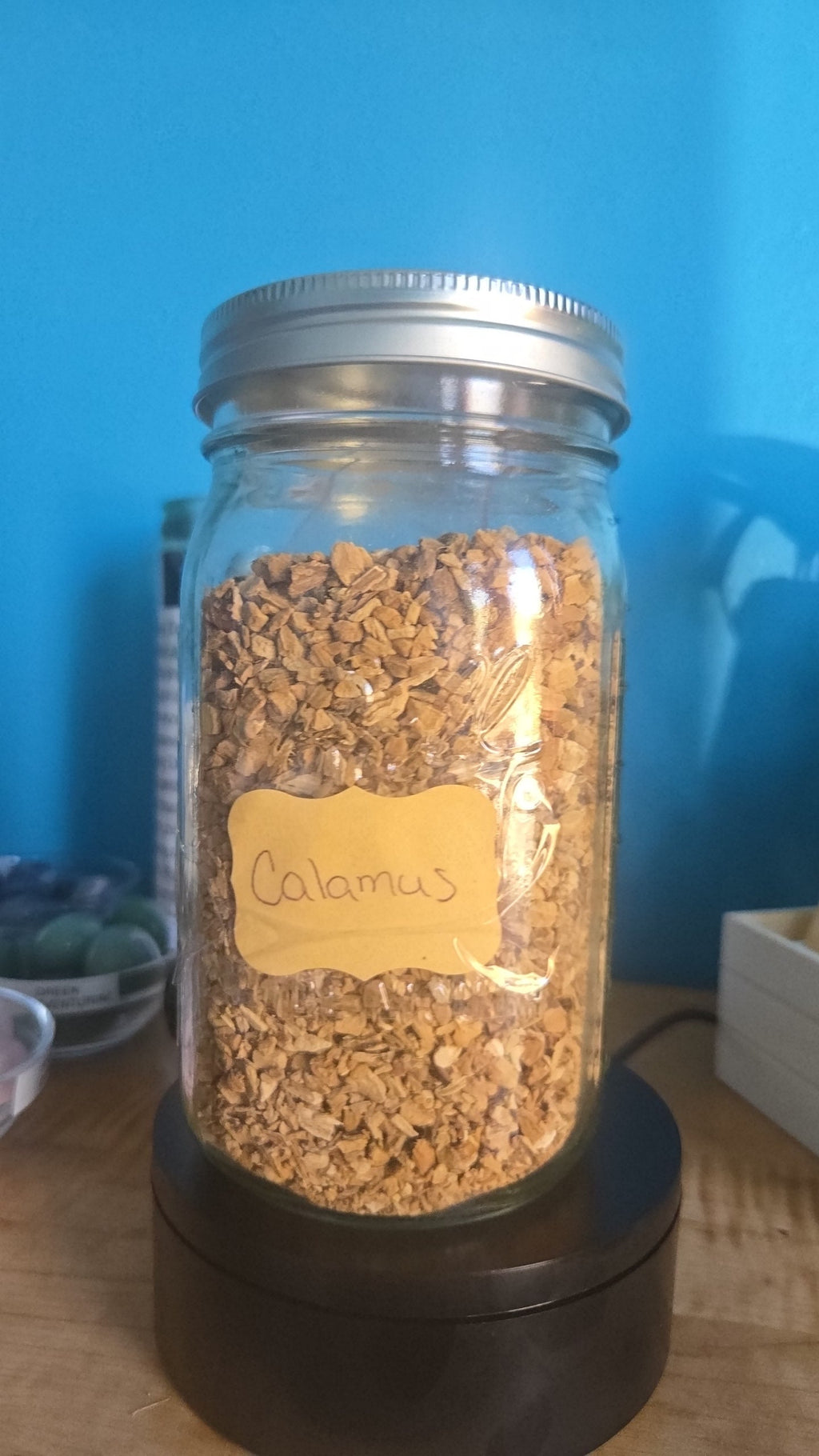 Calamus Herb Root | Herb | Wiccan Center