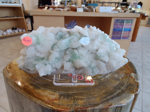 1.34 LB Light Green Apophyllite | Minerals | Wiccan Center