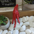 Authority Conjured Charm Chicken Foot- Command Respect | Charmed curio | Wiccan Center