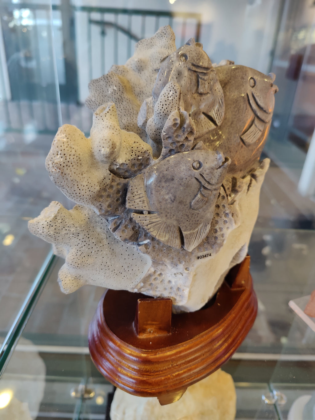 Blue Coral Reef Fish Life Carving | Lapidary | Wiccan Center