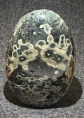 Kambaba Jasper Freeform with Druzy | | Wiccan Center