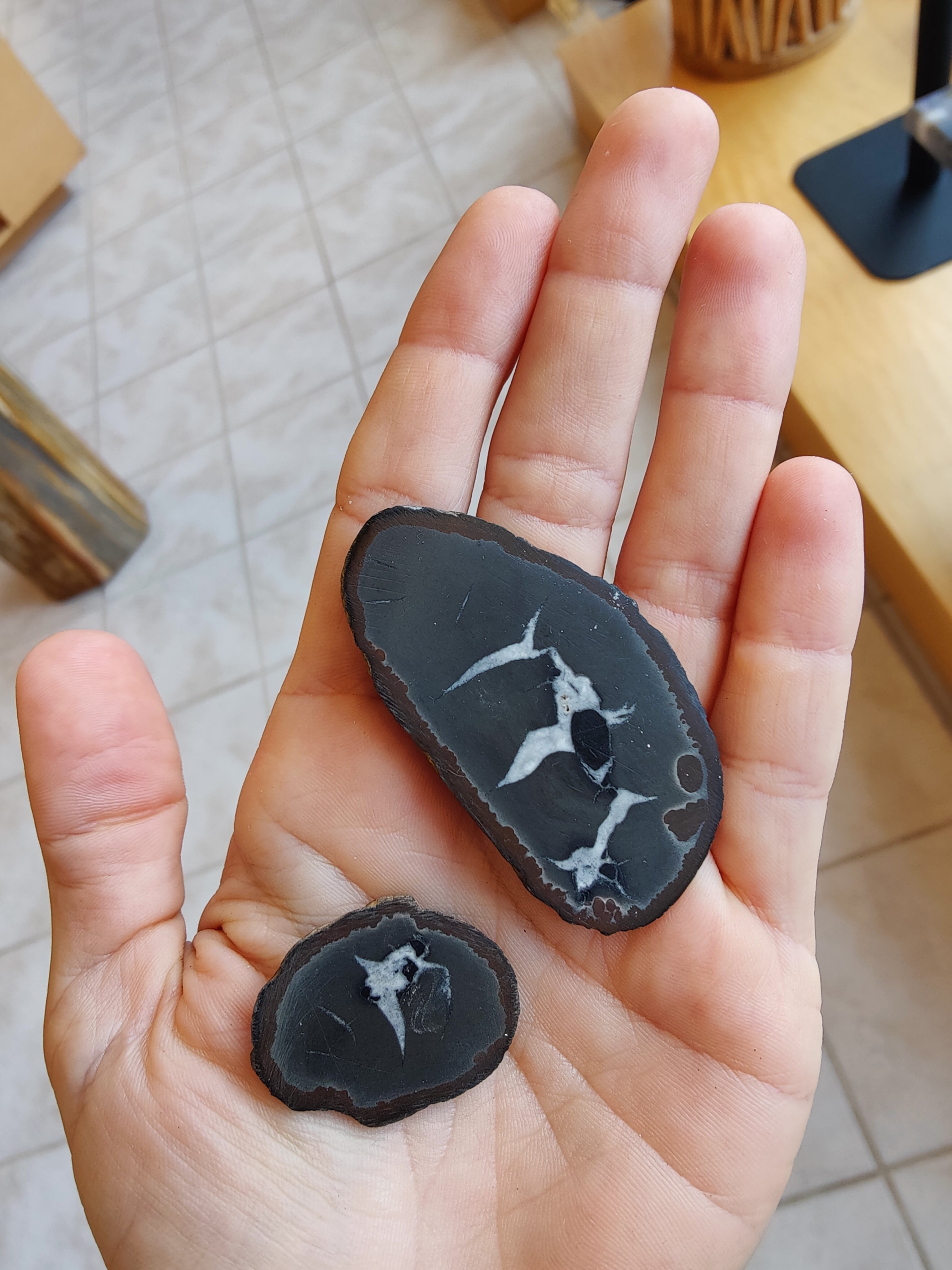 Thunder Egg Slices | Lapidary | Wiccan Center