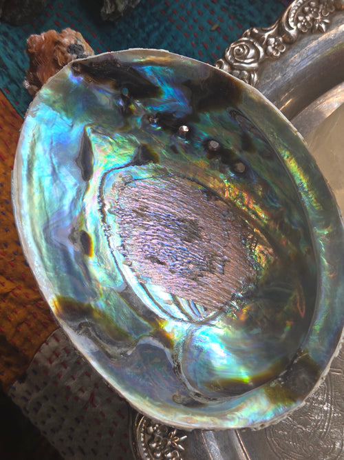 Abalone Shell Smudge Bowl (5–5.5”) | | Wiccan Center