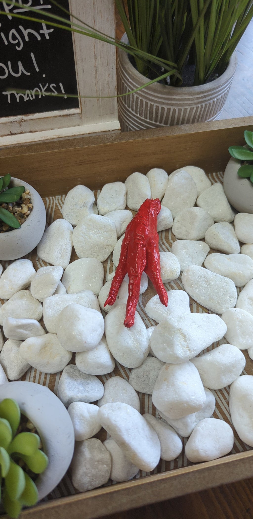 Authority Conjured Charm Chicken Foot- Command Respect | Charmed curio | Wiccan Center