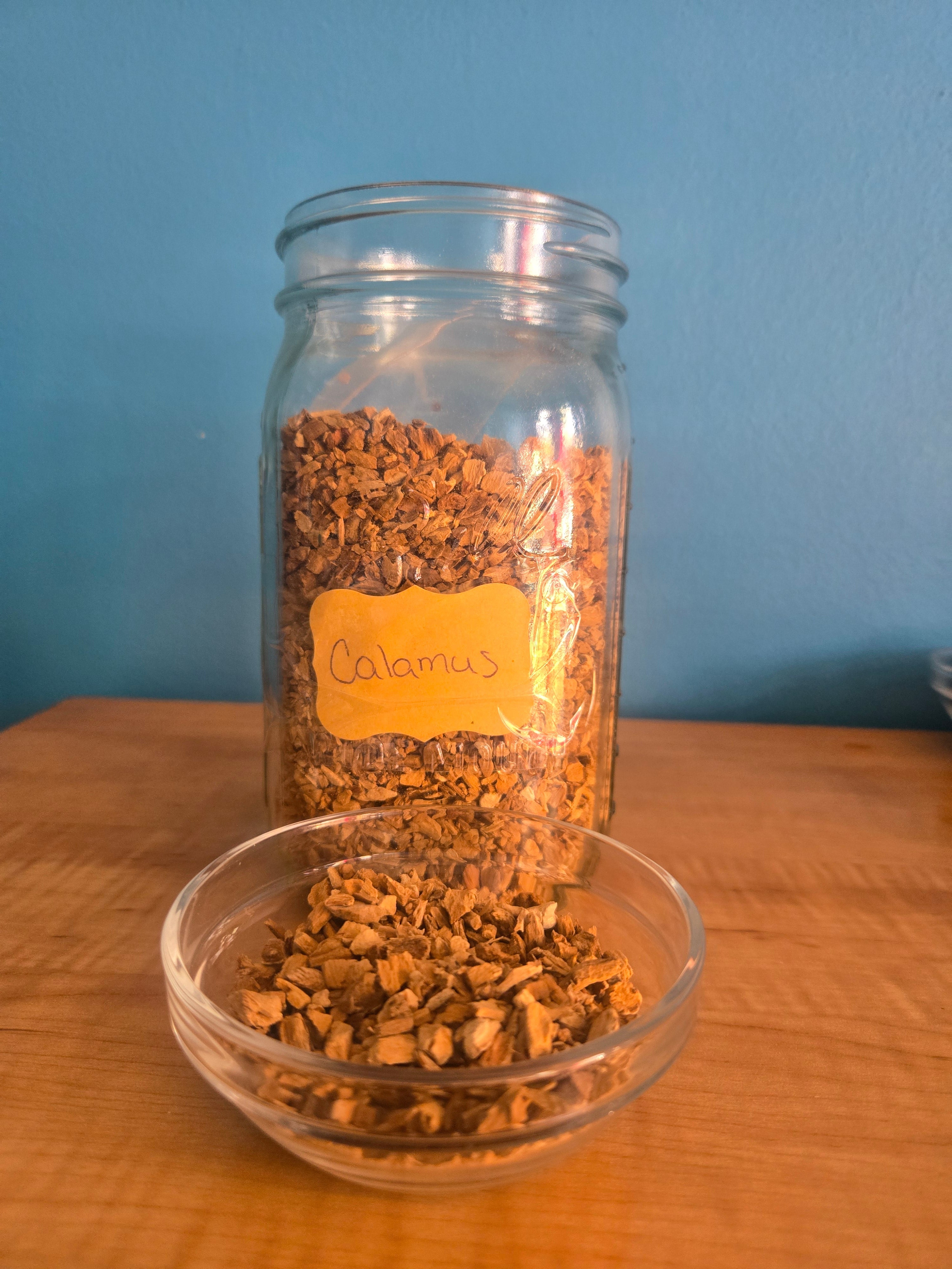 Calamus Herb Root | Herb | Wiccan Center