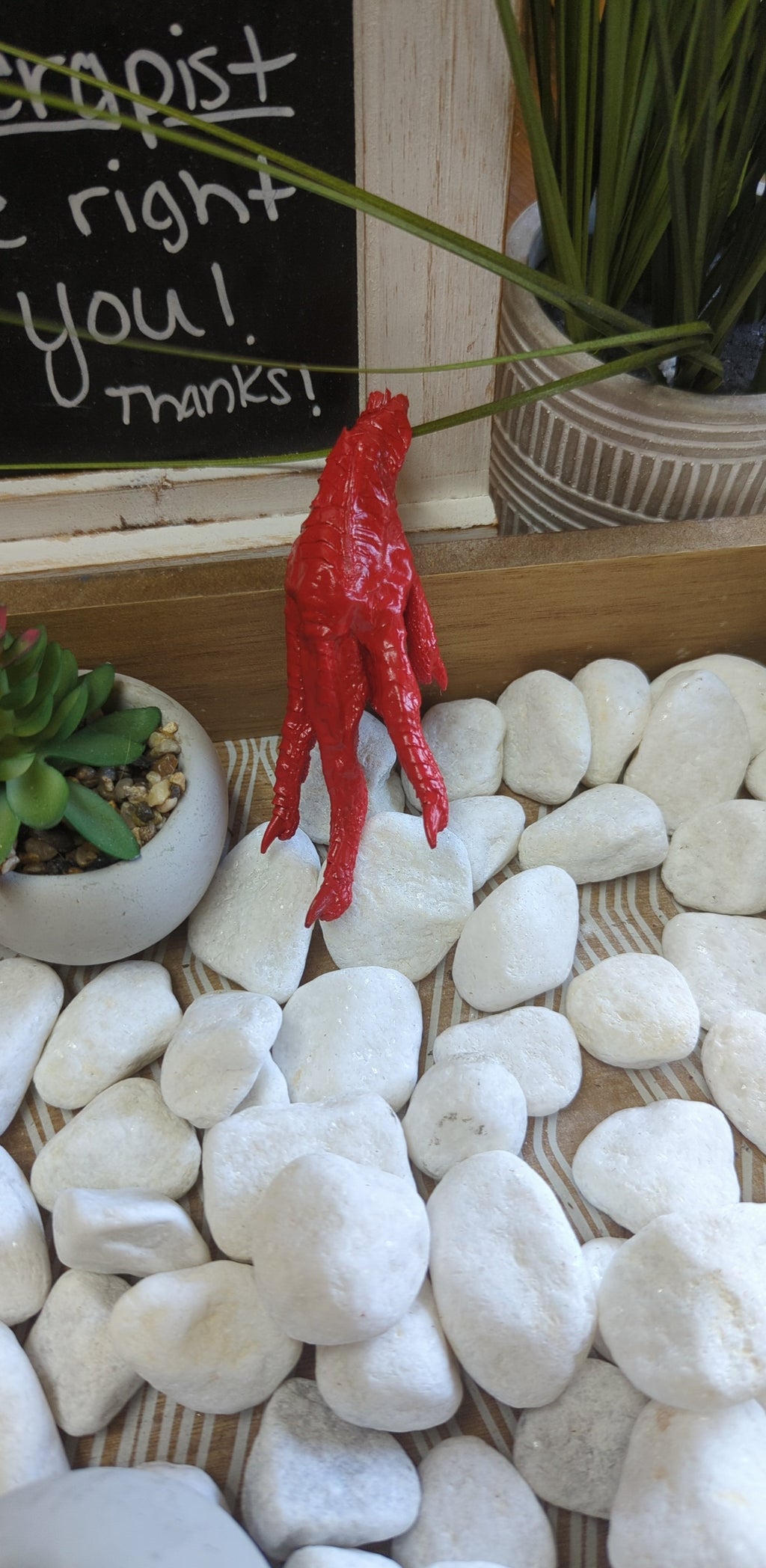 Authority Conjured Charm Chicken Foot- Command Respect | Charmed curio | Wiccan Center