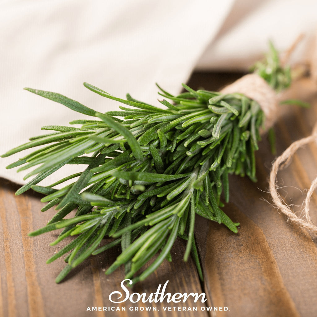 Rosemary – 50 Seeds | | Wiccan Center