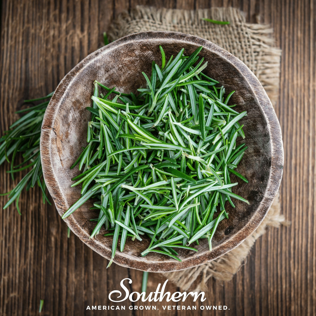 Rosemary – 50 Seeds | | Wiccan Center