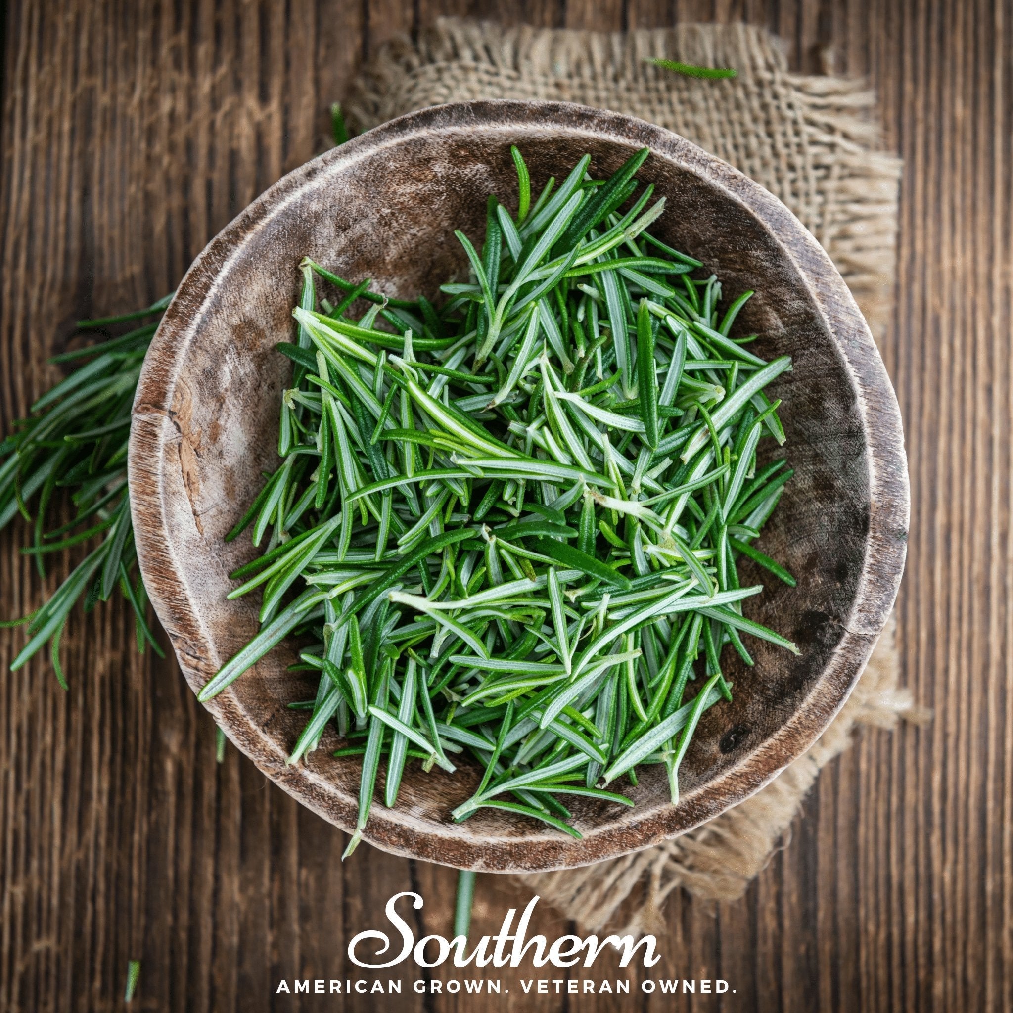 Rosemary – 50 Seeds | | Wiccan Center