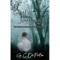 A Soul's Journey: The Story of Traveling through Time to Find the Truth - Paperback | Books | Wiccan Center