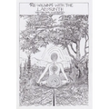 Re-wilding With The Labyrinth - Paperback | Books | Wiccan Center