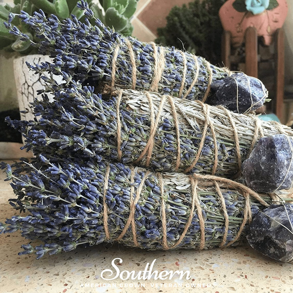 Blue Sage – 100 Seeds | | Wiccan Center