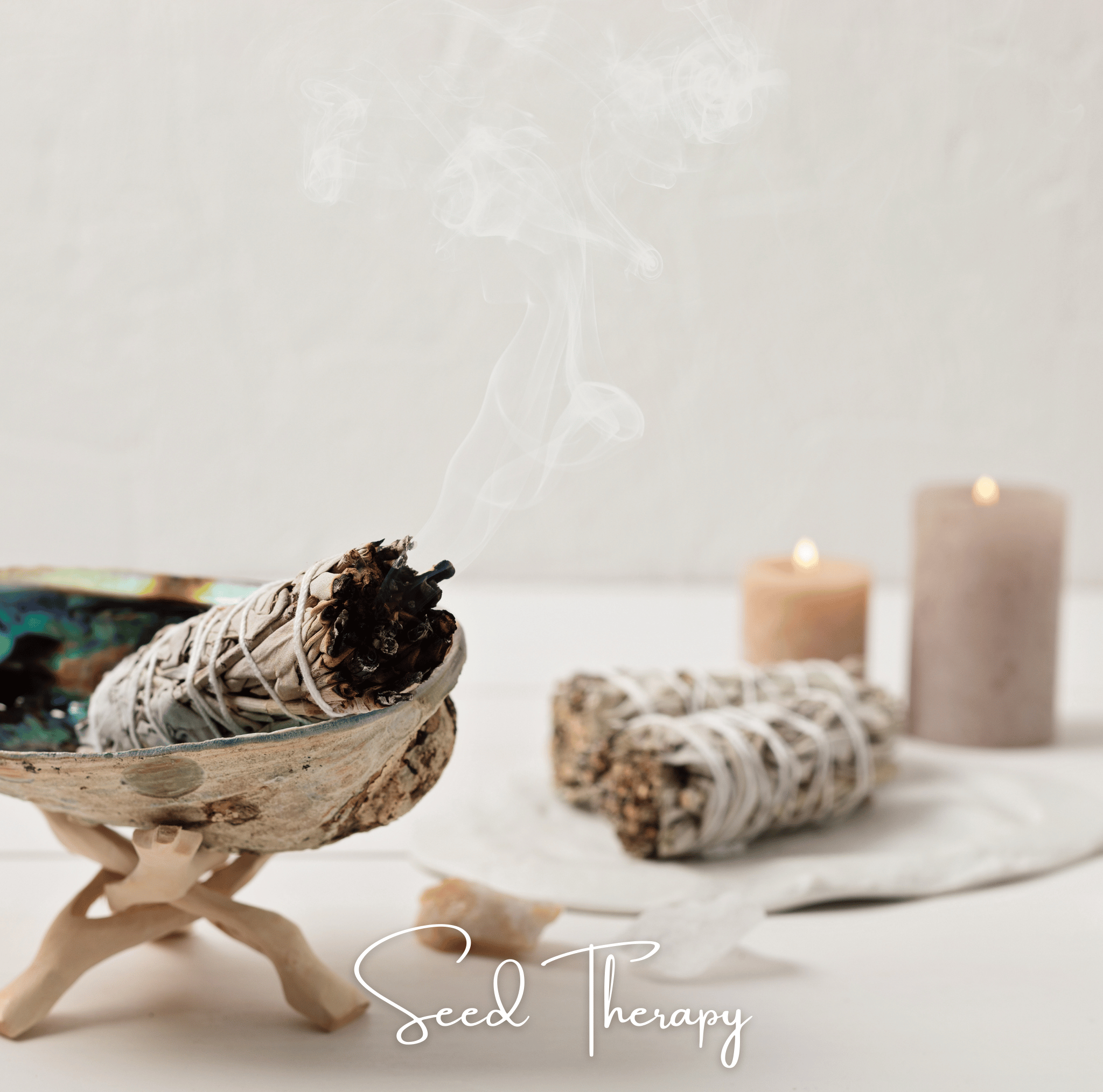 White Sage – 50 Seeds | | Wiccan Center