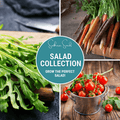 Salad Seed Collection – 6 Varieties | | Wiccan Center