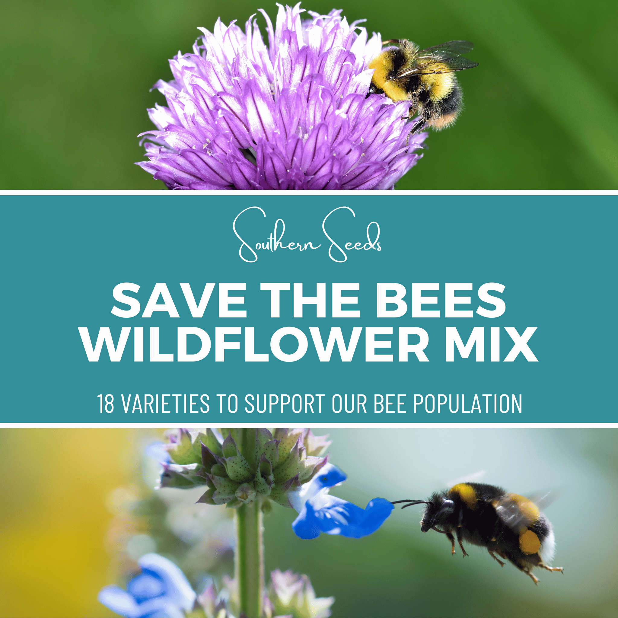 Save the Bees Wildflower Seed Mix (18 Varieties) – 1,000 Seeds | Seeds | Wiccan Center