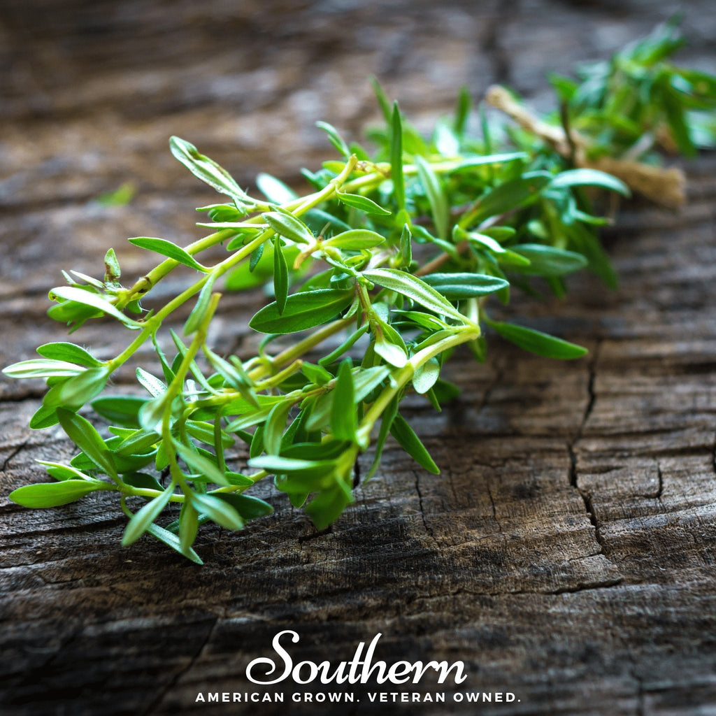 Summer Savory – 100 Seeds | | Wiccan Center