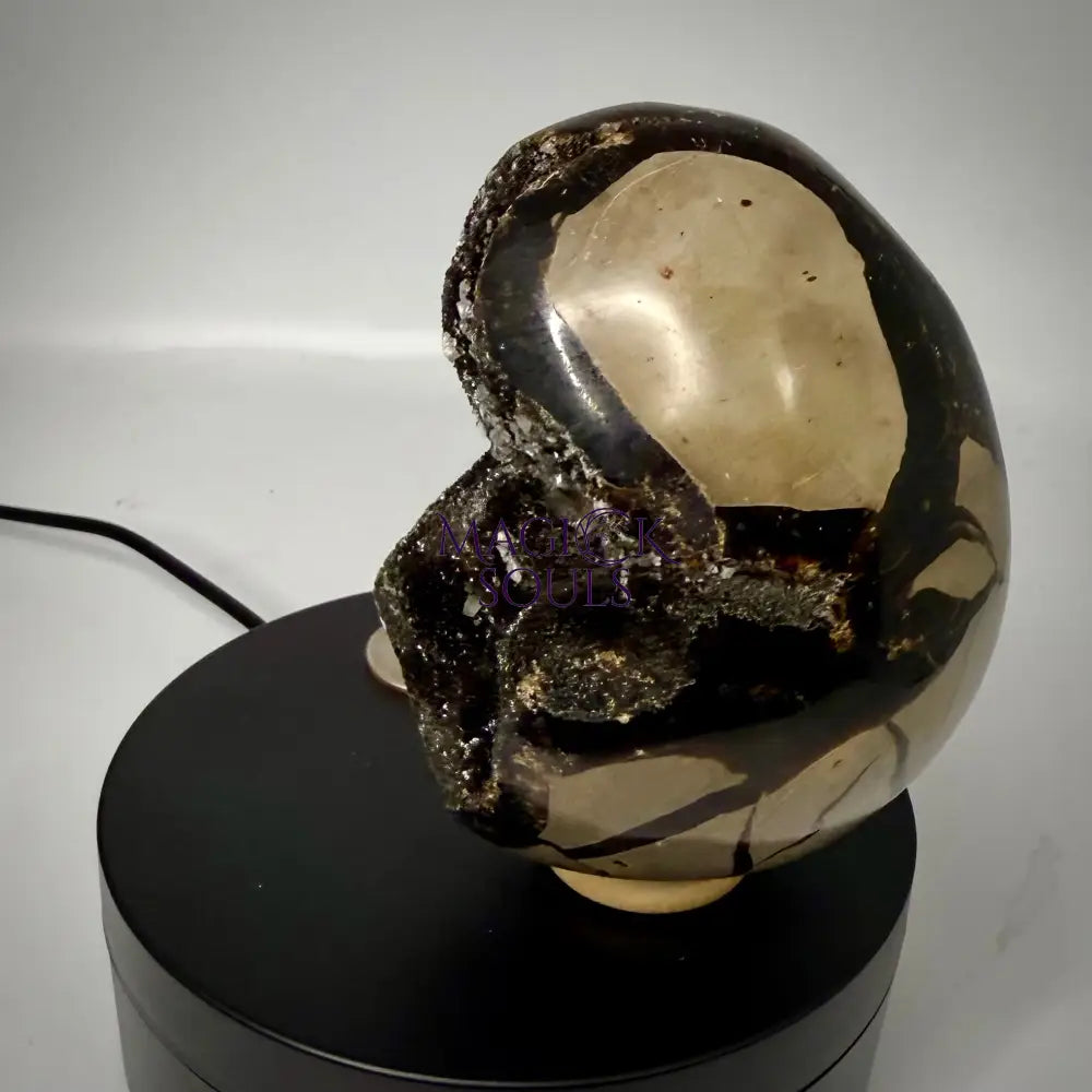 Septarian Druzy Dragon Egg UV Reactive