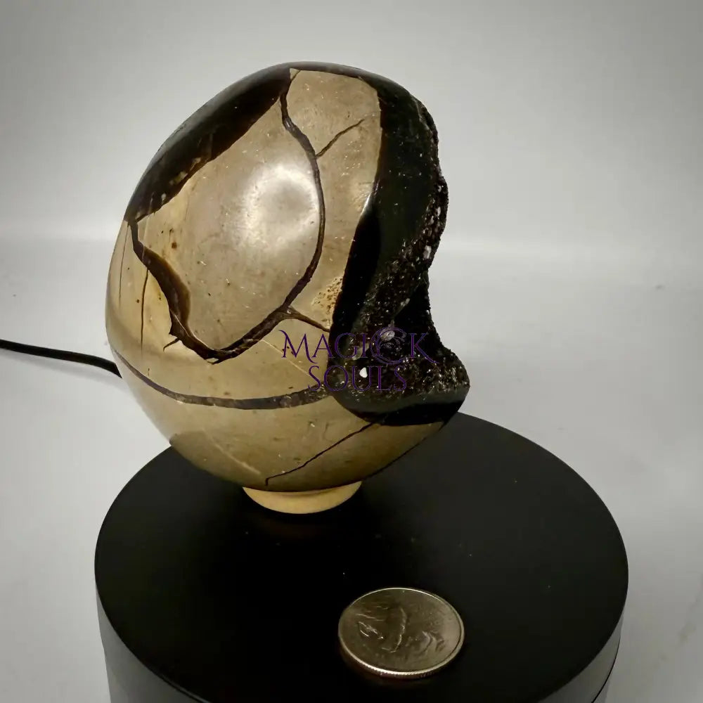 Septarian Druzy Dragon Egg UV Reactive