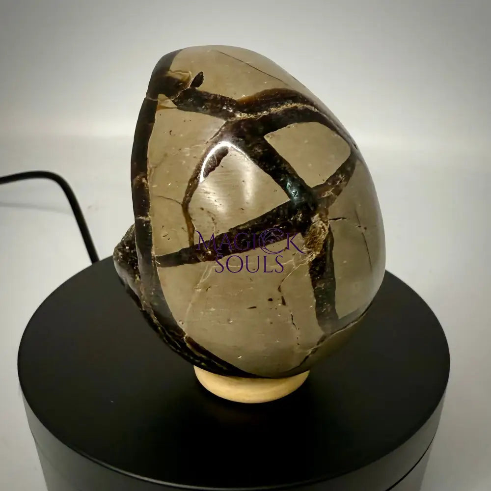 Septarian Druzy Dragon Egg UV Reactive