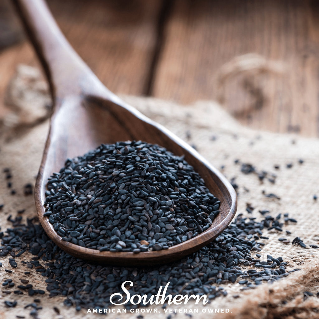 Black Sesame – 100 Seeds | | Wiccan Center