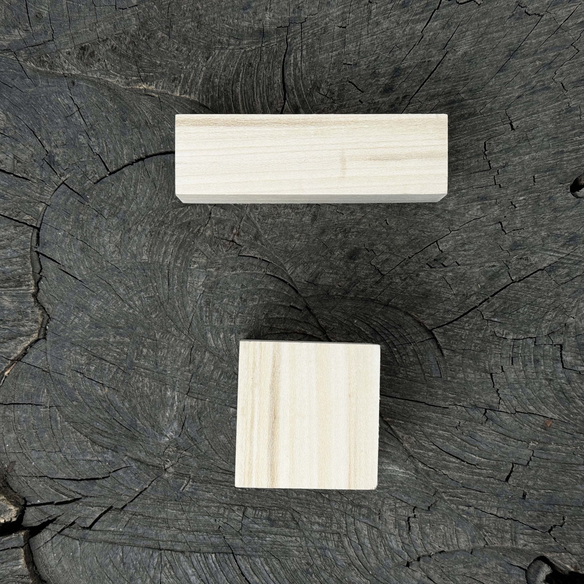 Set of 16 Linden Wood Carving Blanks