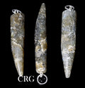 Labradorite Horn Pendant with Silver Plated Bail (2 Inches) (4 Pieces)