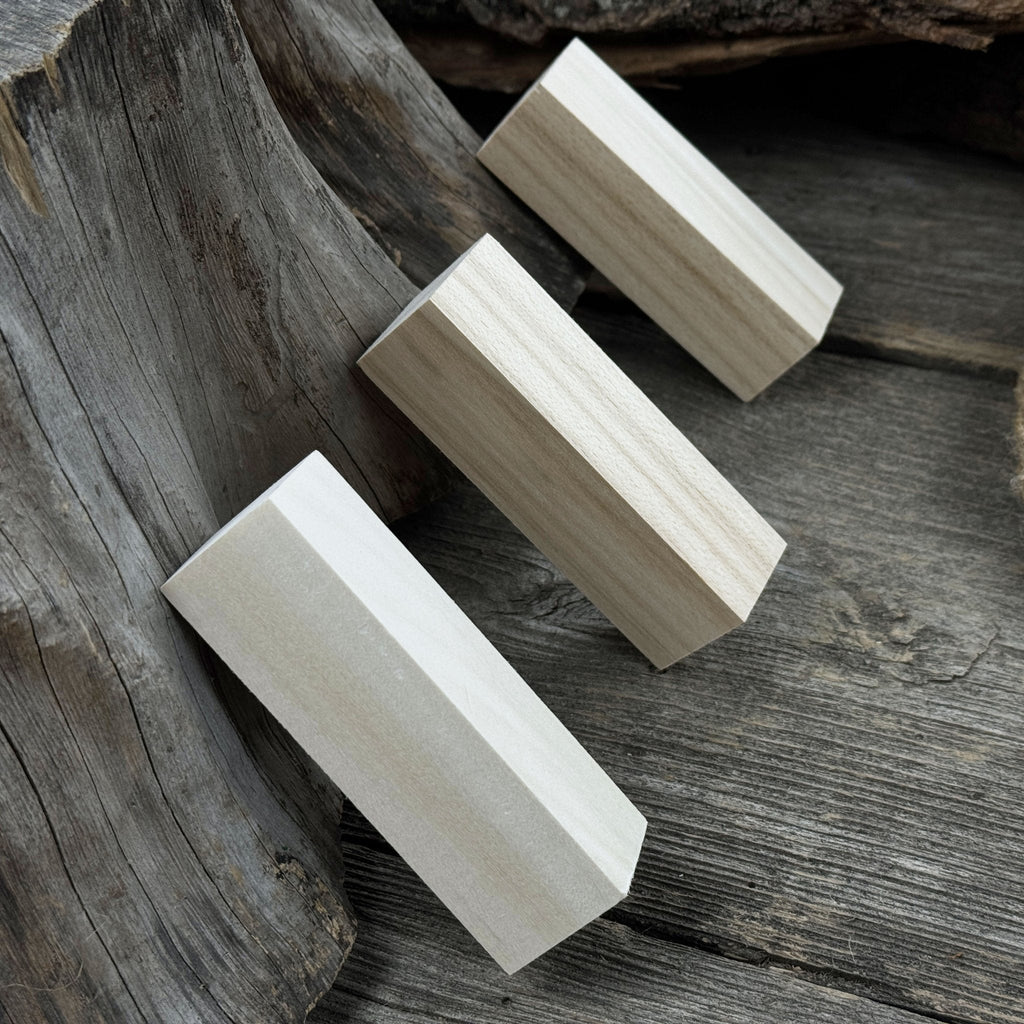 Set of 6 Medium Rectangular Linden Wood Carving Blanks