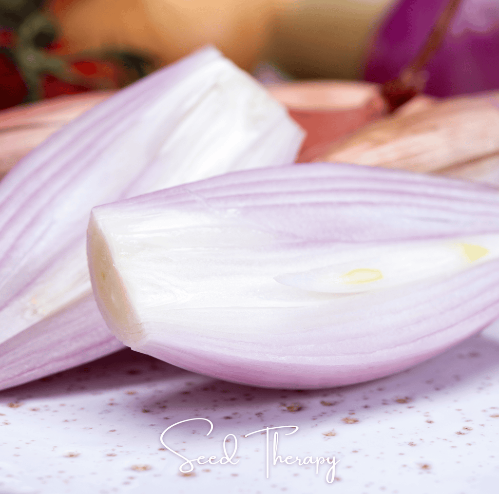 Zebrune Shallot – 25 Seeds | Seeds | Wiccan Center