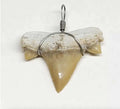 Shark Tooth Necklace | Jewelry | Wiccan Center